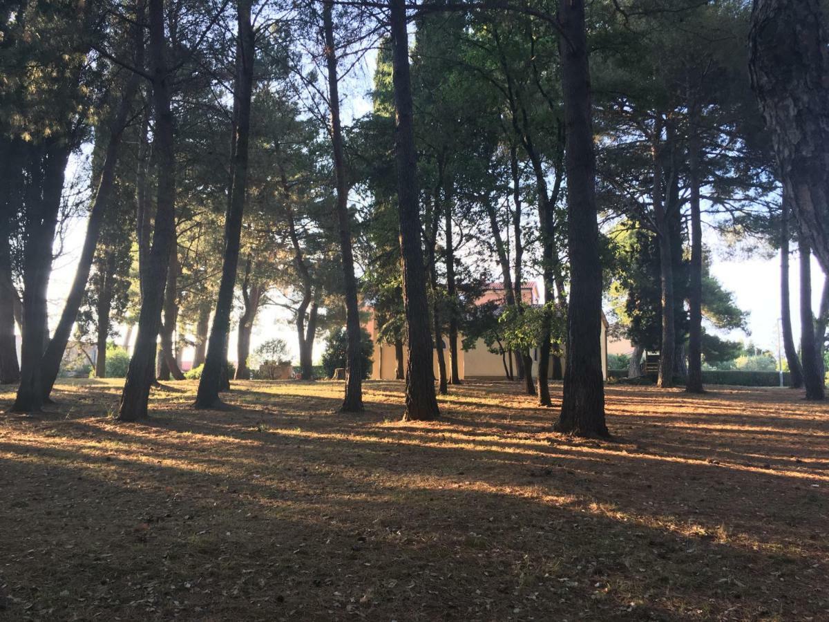 Pribetic Apartments Poreč Zewnętrze zdjęcie